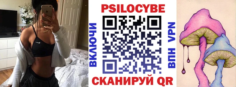 Псилоцибиновые грибы Cubensis  Людиново 
