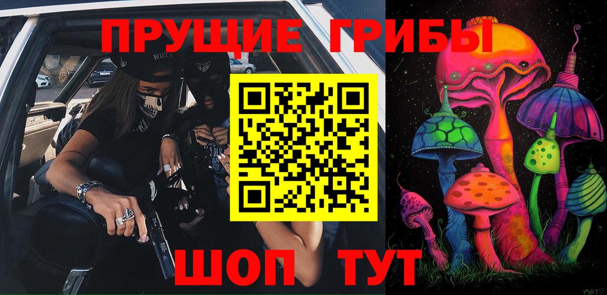Псилоцибиновые грибы прущие грибы  Вход с VPN  Людиново 