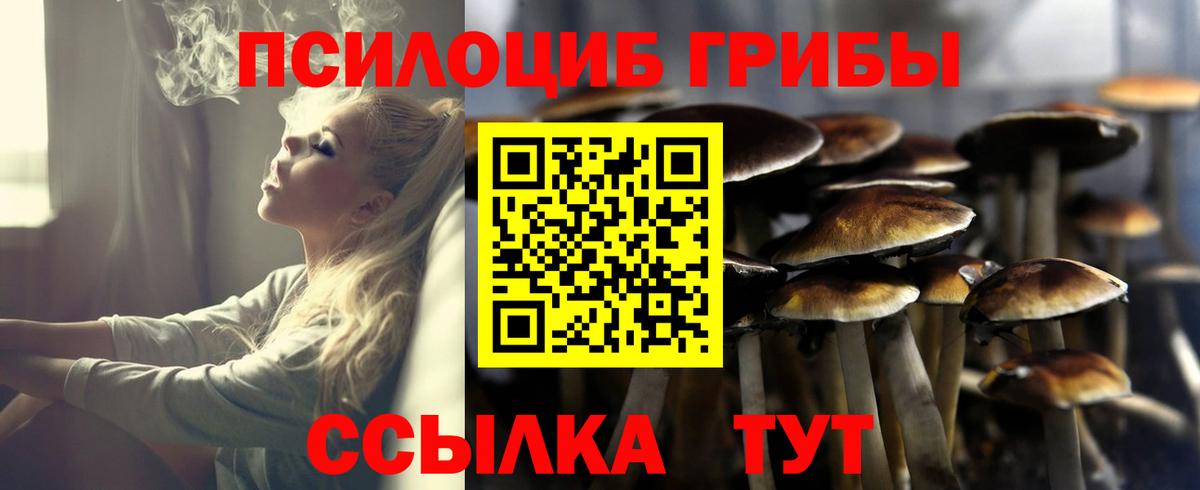 наркошоп  Людиново  Галлюциногенные грибы GOLDEN TEACHER 